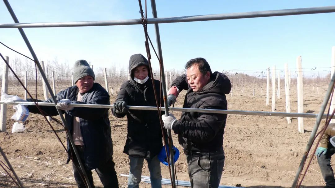 内蒙古富硒农产品基地（内蒙古农基地富硒产品有哪些）-硒宝网