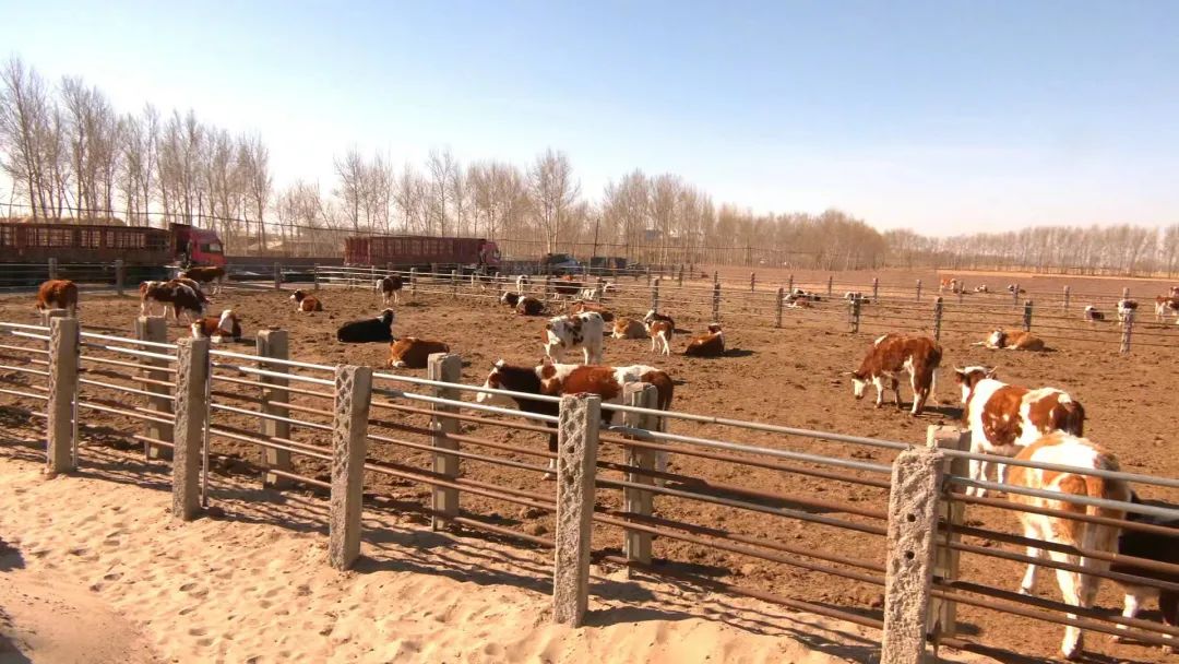 内蒙古富硒农产品基地（内蒙古农基地富硒产品有哪些）-硒宝网