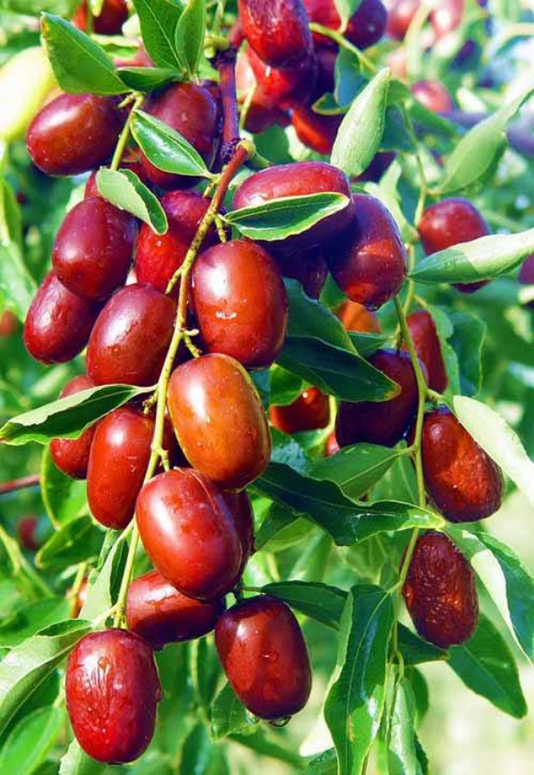 博山富硒产品怎么样呀(淄博富硒生态园)-硒宝网