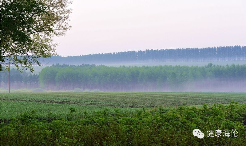 黑龙江省富硒产品协会（黑龙江富硒米多少钱一斤）-硒宝网