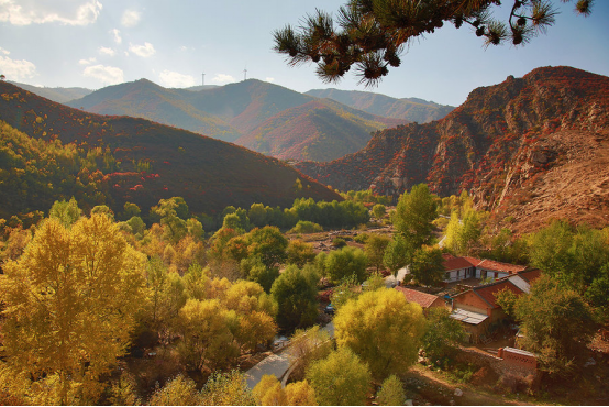 内蒙古富硒农产品基地（内蒙古富硒小米）-硒宝网