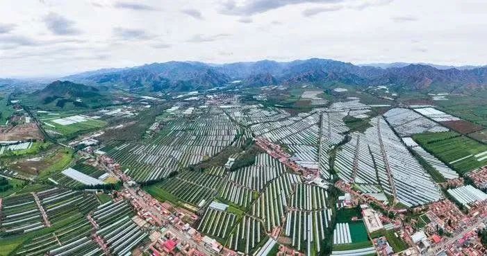 内蒙古富硒农产品基地（内蒙古富硒小米）-硒宝网