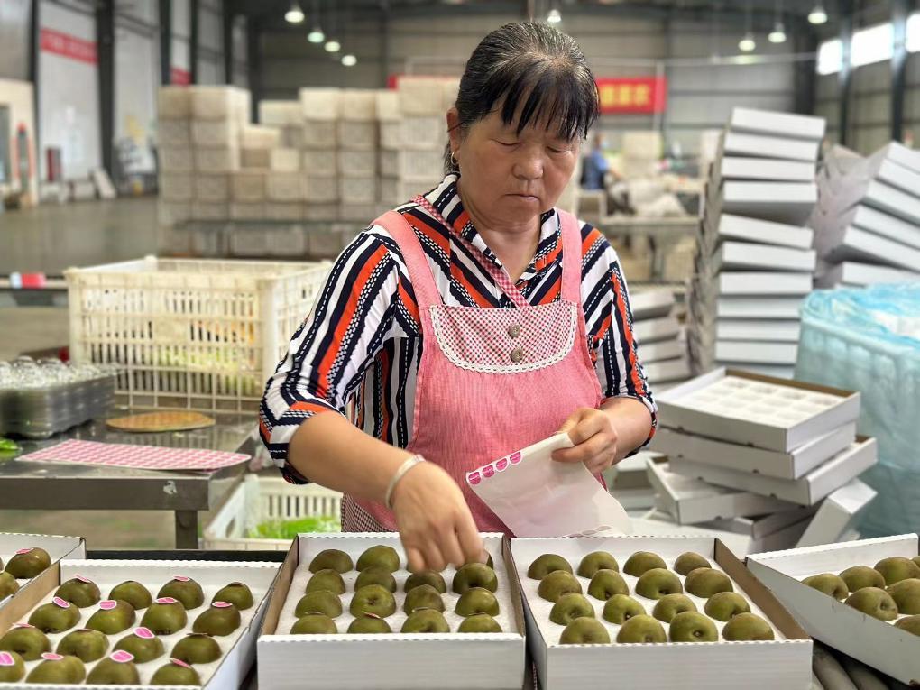 石泉县富硒农产品品牌（石泉富硒茶）-硒宝网