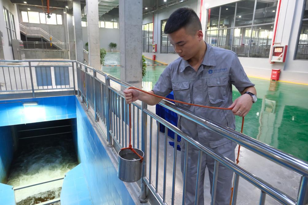 石泉县富硒农产品品牌（石泉富硒茶）-硒宝网