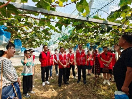 山东省富硒农产品基地(山东富硒农产品网通知公告)-硒宝网