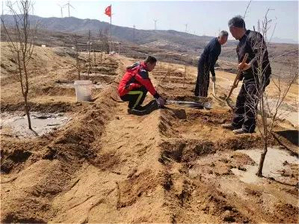 蓬莱富硒农产品合作社(山东农产品富硒网)-硒宝网