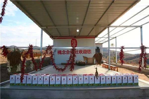 蓬莱富硒农产品合作社(山东农产品富硒网)-硒宝网