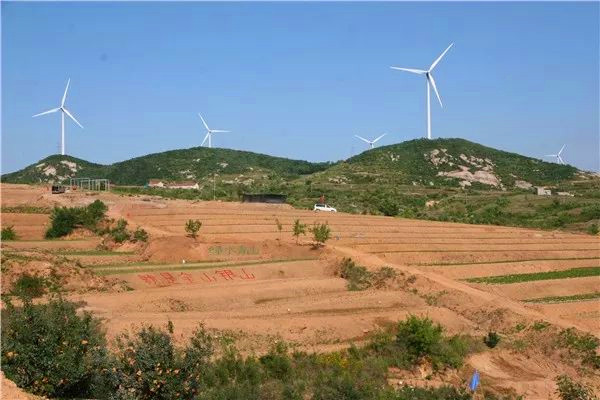 蓬莱富硒农产品合作社(山东农产品富硒网)-硒宝网