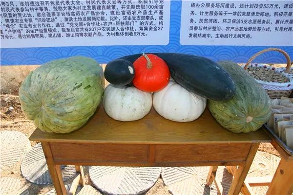 蓬莱富硒农产品合作社(山东农产品富硒网)-硒宝网