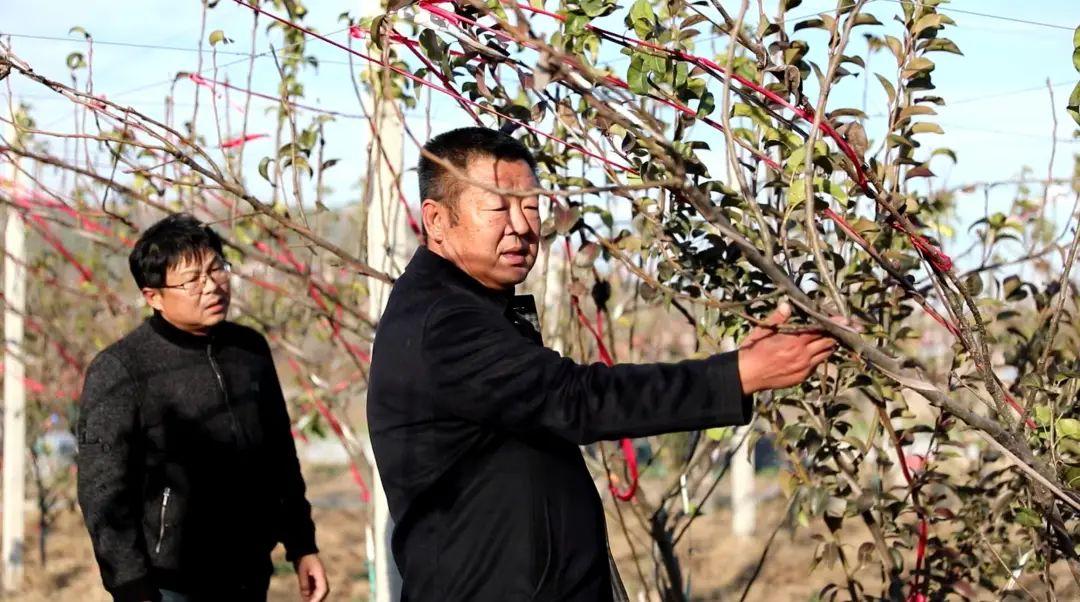 山东省富硒农产品协会(山东富硒协会研究机构)-硒宝网