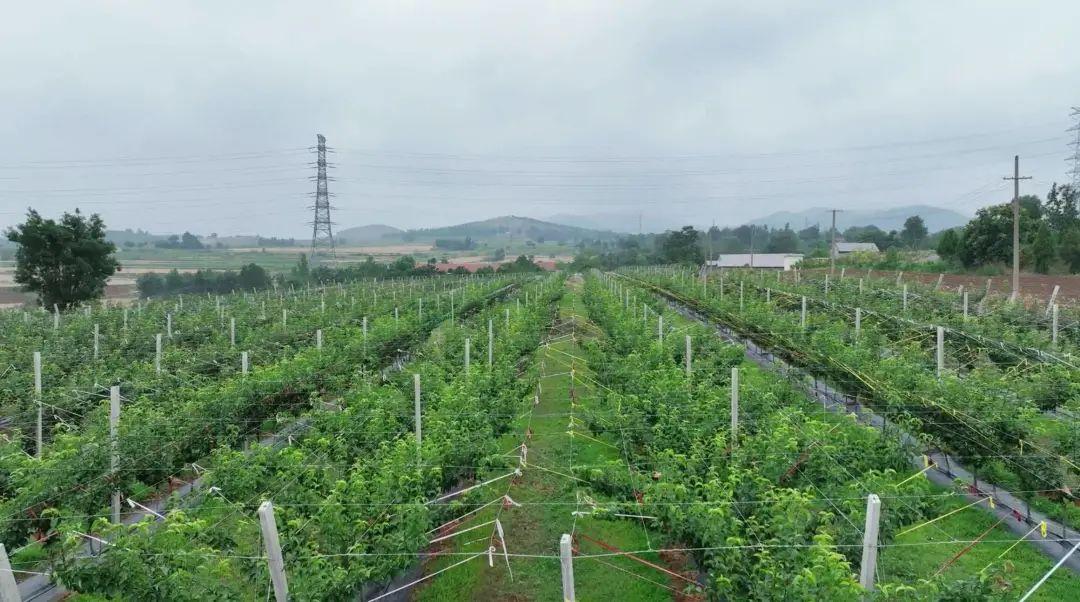 山东省富硒农产品协会(山东富硒协会研究机构)-硒宝网