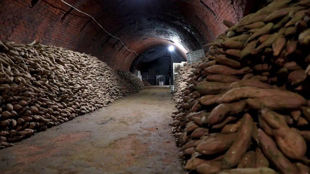 山东省富硒农产品协会(山东富硒协会研究机构)-硒宝网