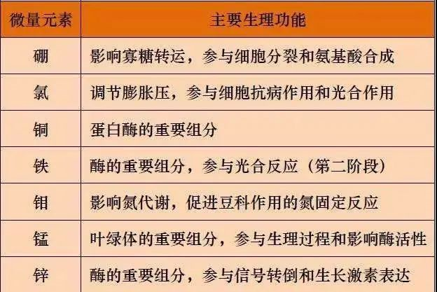 医院查微量元素（查微量元素医院挂什么科）-硒宝网