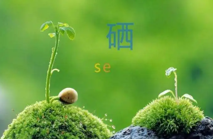 富硒农产品对人的好处(富硒农产品对人体的好处)-硒宝网