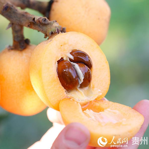 开阳县富硒农产品之乡（富硒之乡开阳）-硒宝网