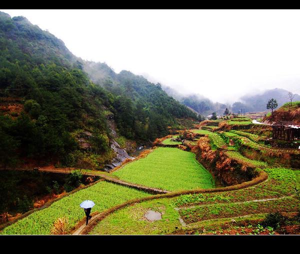 石台大山村富硒农产品(石台富硒村农家乐)-硒宝网