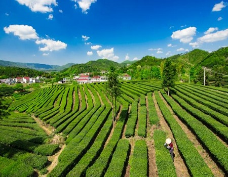 富硒农产品需解决问题（富硒农产品市场需求）-硒宝网