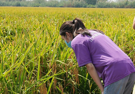 富硒农产品健康你我他(富硒健康食品)-硒宝网