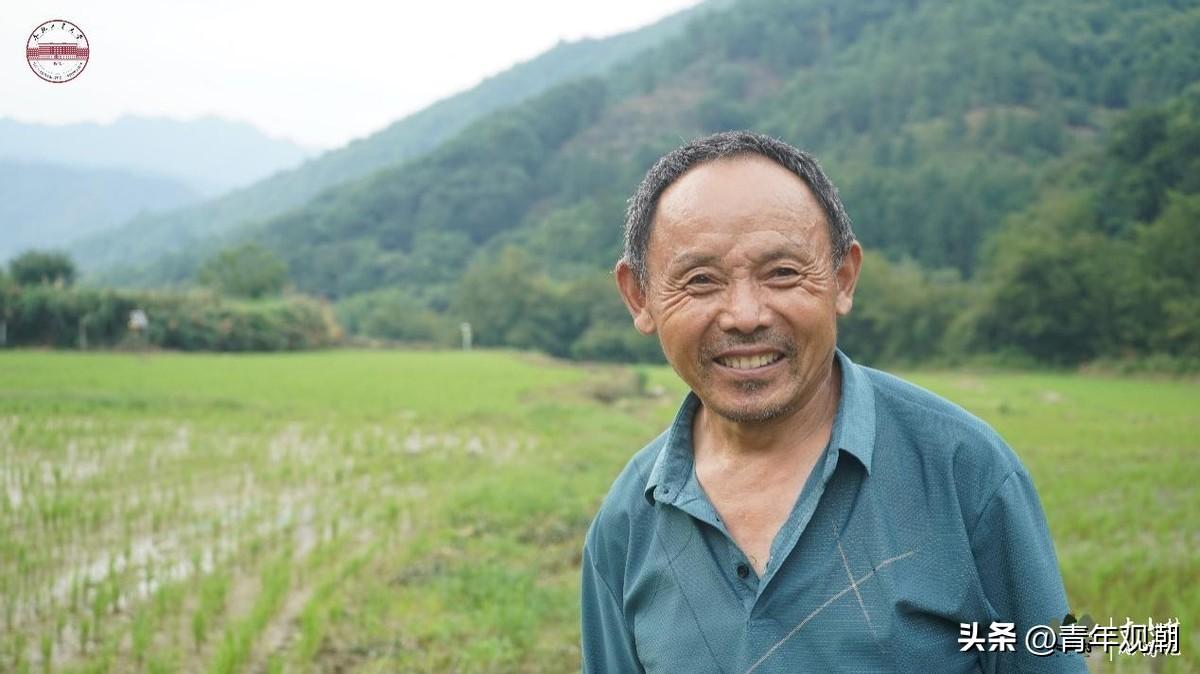 石台大山村富硒农产品（石台县富硒村怎么吃?。?硒宝网