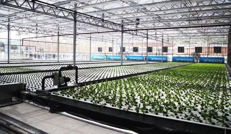 开阳县富硒农产品园区(开阳富硒农产品体验店电话号码)-硒宝网