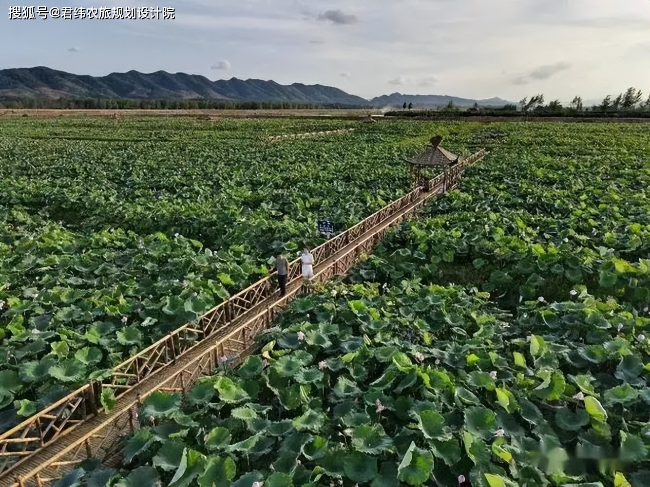 江西栖贤山富硒农产品(江西富硒小镇)-硒宝网