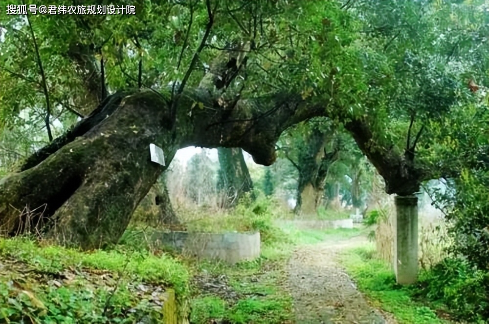 江西栖贤山富硒农产品(江西富硒小镇)-硒宝网