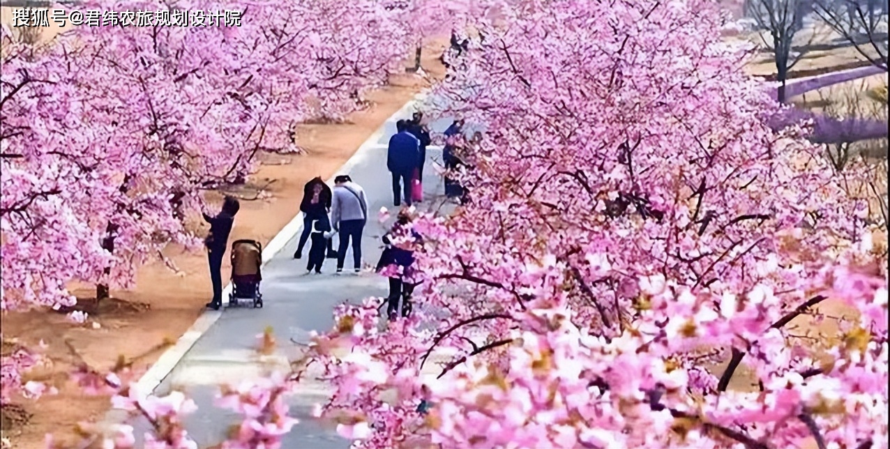 江西栖贤山富硒农产品(江西富硒小镇)-硒宝网