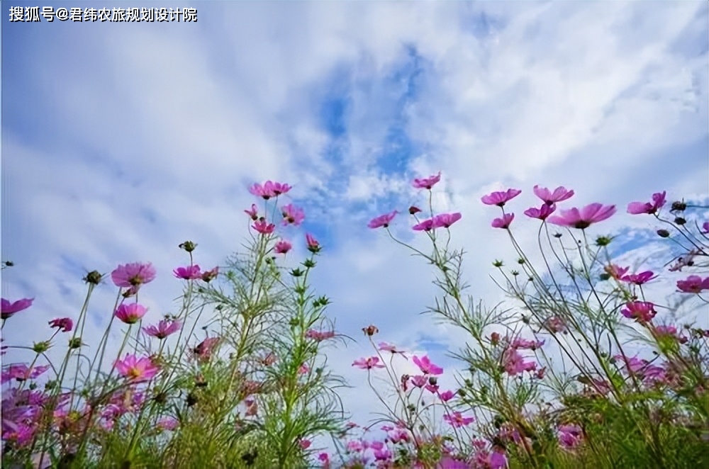 江西栖贤山富硒农产品(江西富硒小镇)-硒宝网
