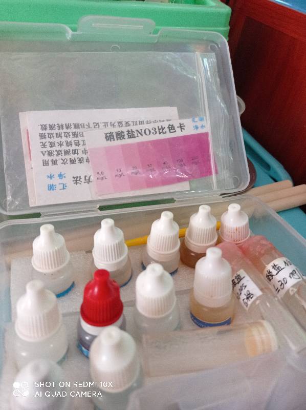 狗微量元素怎么补（微量元素狗狗吃的好处）-硒宝网