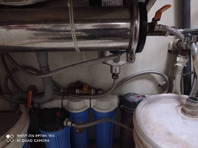 狗微量元素怎么补（微量元素狗狗吃的好处）-硒宝网