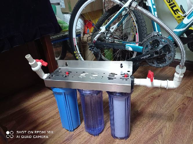 狗微量元素怎么补（微量元素狗狗吃的好处）-硒宝网