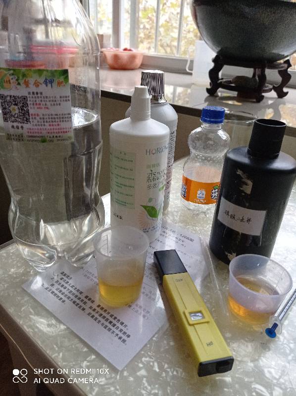 狗微量元素怎么补（微量元素狗狗吃的好处）-硒宝网