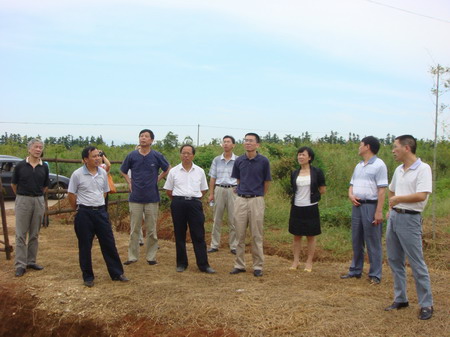 丰城市富硒农产品标志（富硒农产品国家标准）-硒宝网