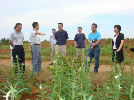 丰城市富硒农产品标志（富硒农产品国家标准）-硒宝网