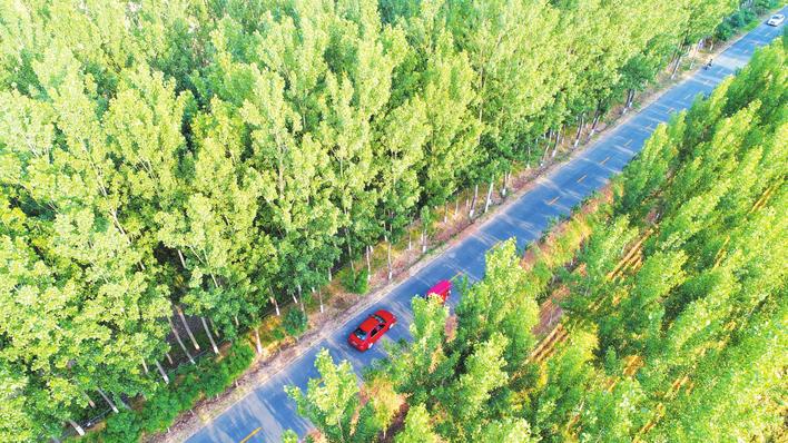 河北省农产品富硒标准（河北省富硒产业联盟）-硒宝网