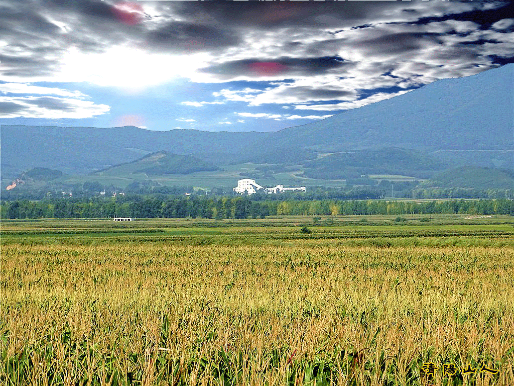 宝清富硒农产品研讨会（富硒农业发展）-硒宝网