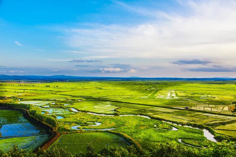 宝清富硒农产品研讨会（富硒农业发展）-硒宝网