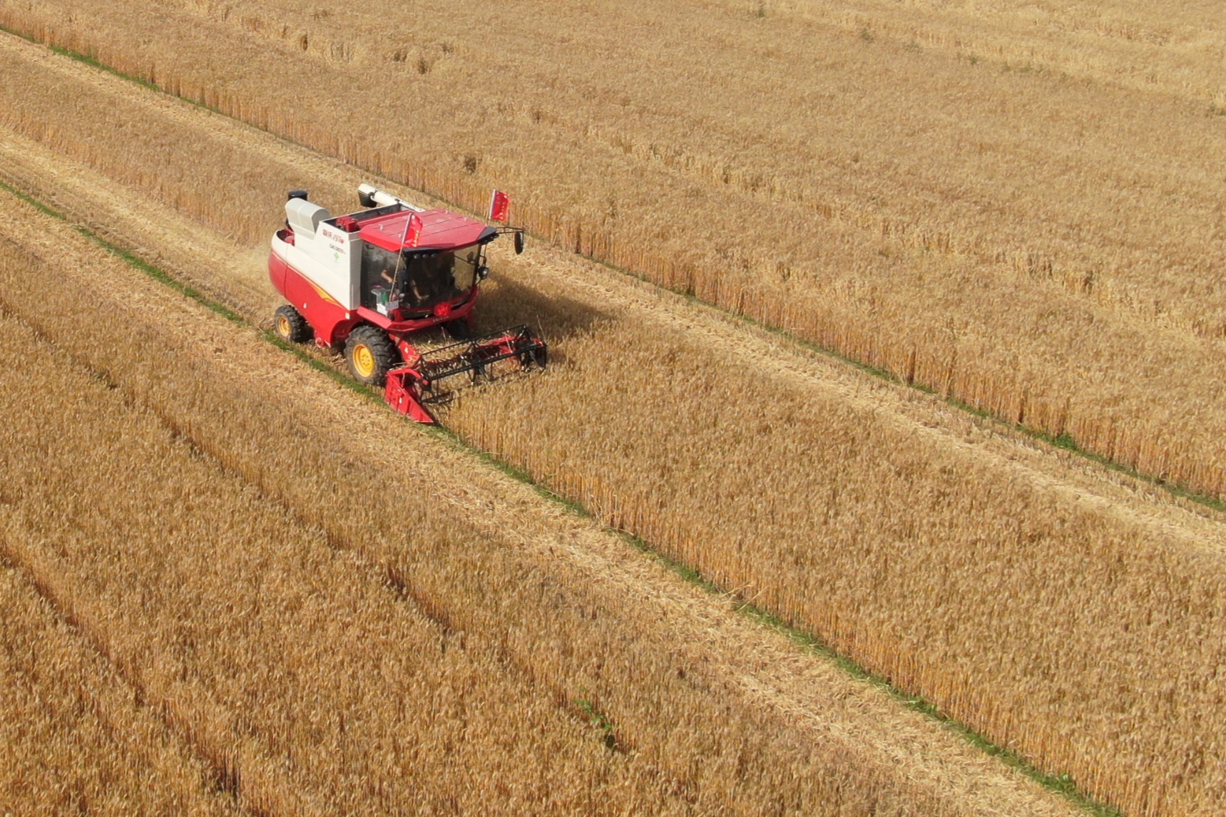 烟台市农产品富硒协会（山东富硒农产品网）-硒宝网