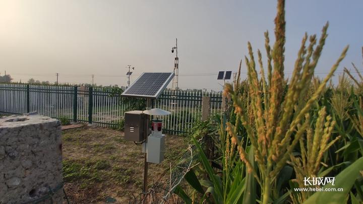 河北省农产品富硒标准(河北富硒地瓜在哪里)-硒宝网