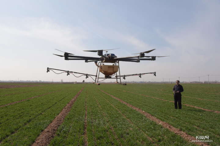 河北省农产品富硒标准(河北富硒地瓜在哪里)-硒宝网