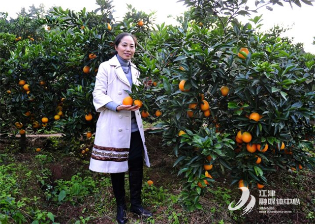 江津富硒农产品怎么样（江津富硒食品）-硒宝网