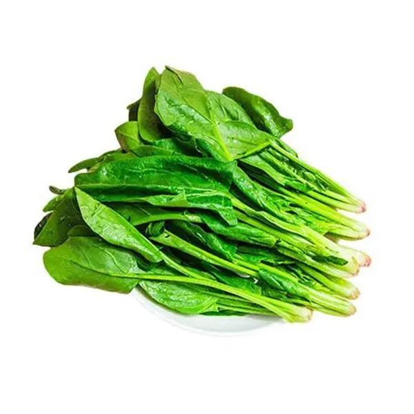 补铁不能和什么一起吃(可以补铁)-硒宝网