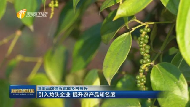 澄迈富硒农产品示范县(澄迈县红土地富硒)-硒宝网