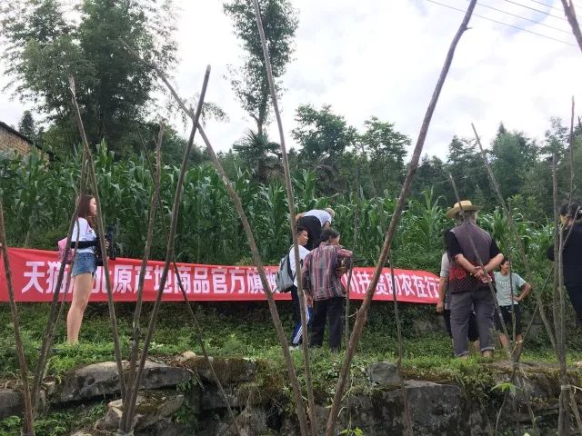 湖北利川市富硒农产品(利川富硒吗)-硒宝网