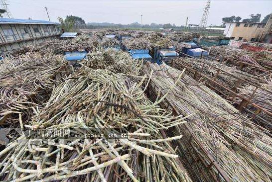 巴马富硒农产品分布图（巴马富硒吗）-硒宝网