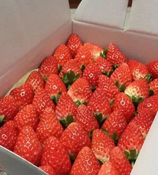 淄博市久润富硒农产品(淄川久润富硒老板)-硒宝网