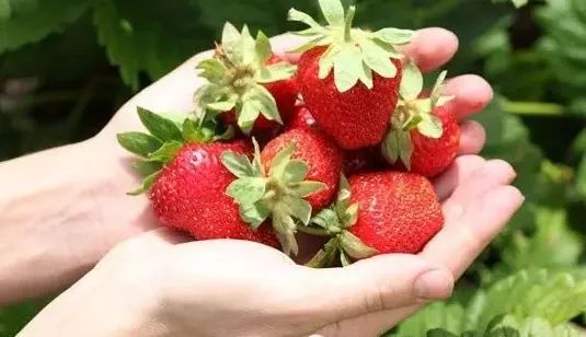 淄博市久润富硒农产品(淄川久润富硒老板)-硒宝网