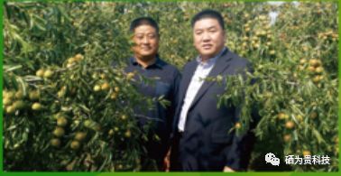 山东三旺富硒农副产品（山东三旺富硒农产品最新消息）-硒宝网