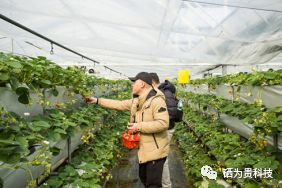 山东三旺富硒农副产品（山东三旺富硒农产品最新消息）-硒宝网