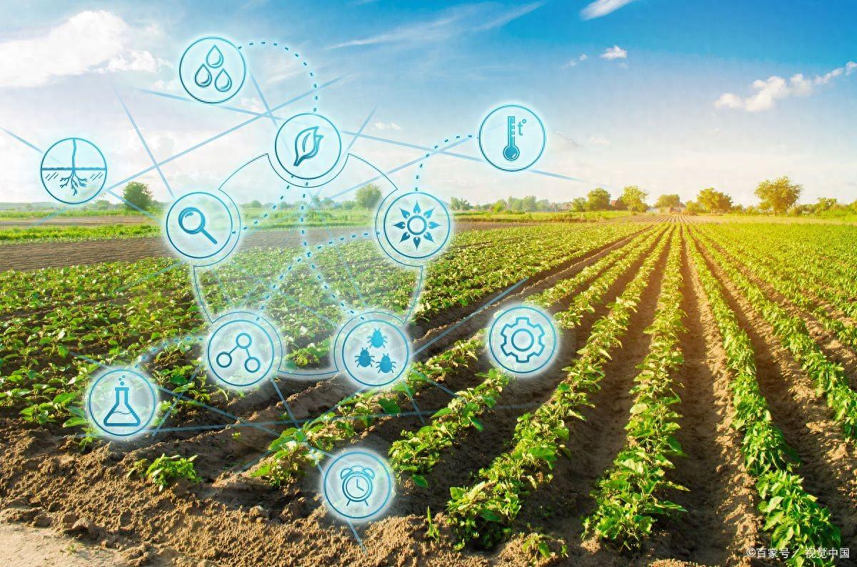 富硒的农副产品有哪些（农副富硒产品有哪些种类）-硒宝网